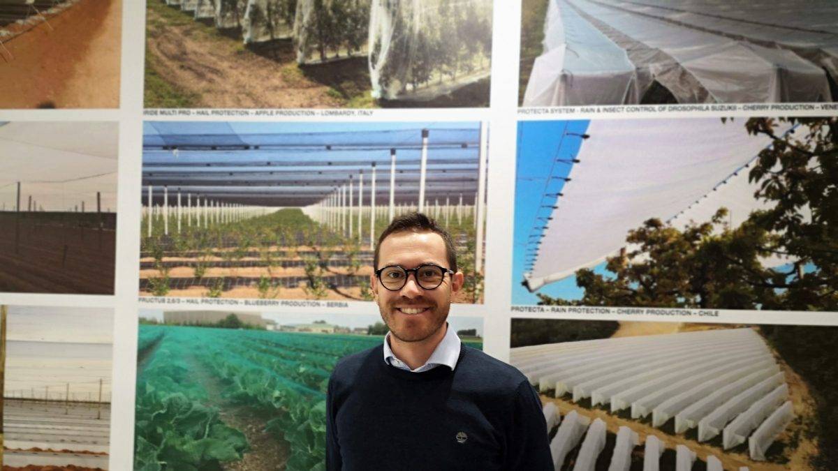 rpt|ArrigoniMacfrut-mallas|mallas-babyleaf|Arrigoni-protecta CHERRIES (2)